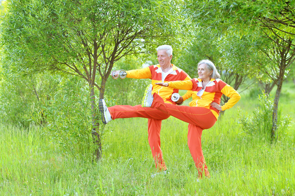 fit senior couple exercising - Foto, immagini