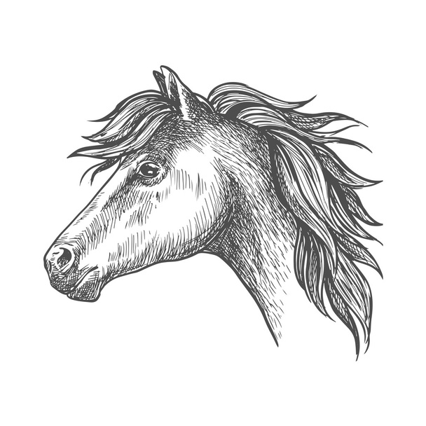 Βαρύ πορτραίτο προφίλ αλόγων σε στυλ σκίτσο - Διάνυσμα, εικόνα