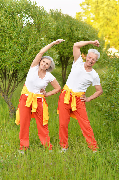fit senior couple exercising - Фото, изображение