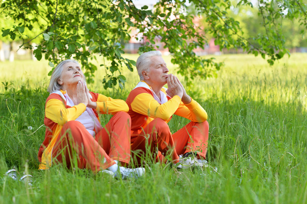 Happy fit  Senior couple meditating - Photo, Image