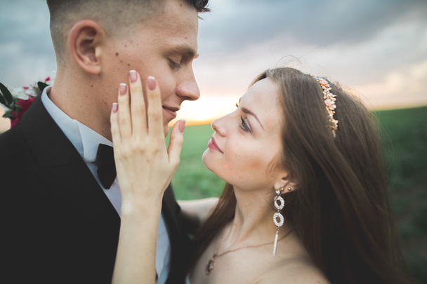 Wedding, Beautiful Romantic Bride and Groom Kissing  Embracing at Sunset - Fotó, kép