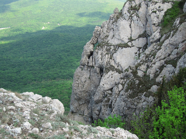 On the slopes of Chatyr-Dag - Foto, imagen