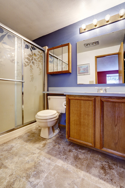 Salle de bain en couleur lavande avec sol en marbre et douche en verre
. - Photo, image