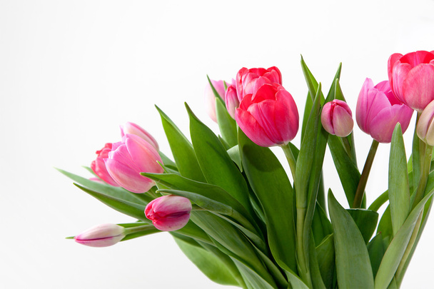 bouquet of pink tulips - Zdjęcie, obraz