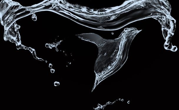 Splash vízimadár elszigetelt fekete háttér - Fotó, kép