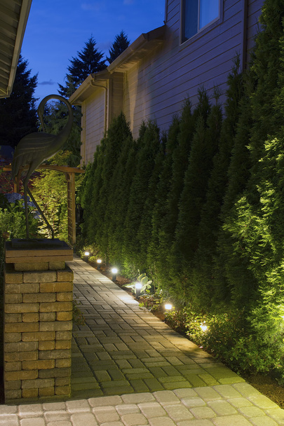 achtertuin tuin pad bij nacht - Foto, afbeelding