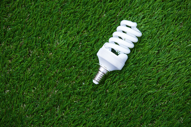 Energiesparlampe im Gras - Foto, Bild