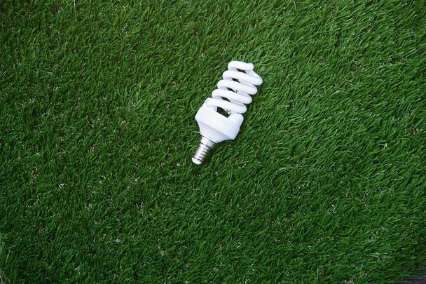 bulbo de poupança de energia na grama
 - Foto, Imagem