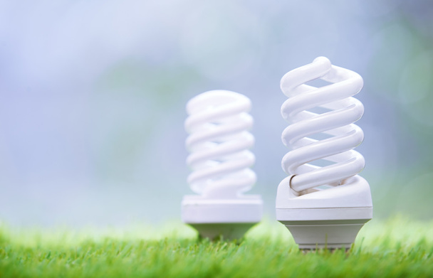 Lâmpadas de poupança de energia na grama
 - Foto, Imagem