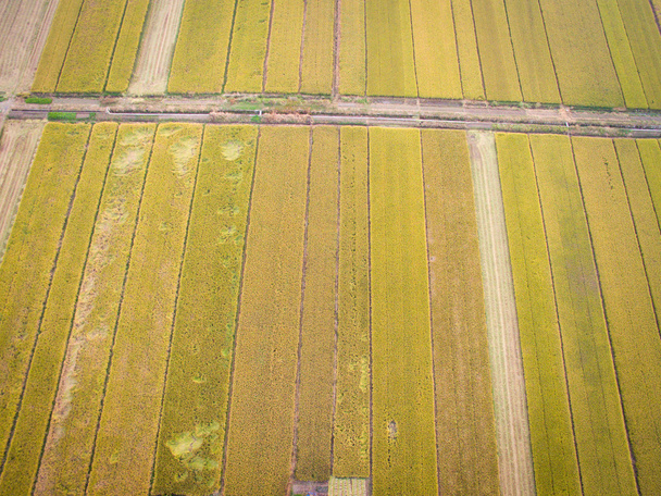 Luchtfoto van landelijke paddy - Foto, afbeelding