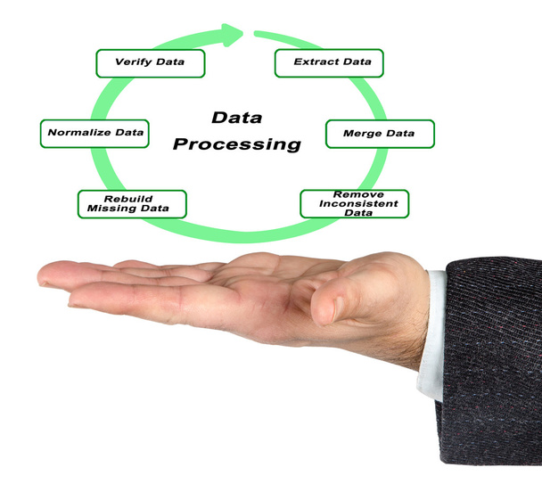 Diagrama del procesamiento de datos
 - Foto, Imagen