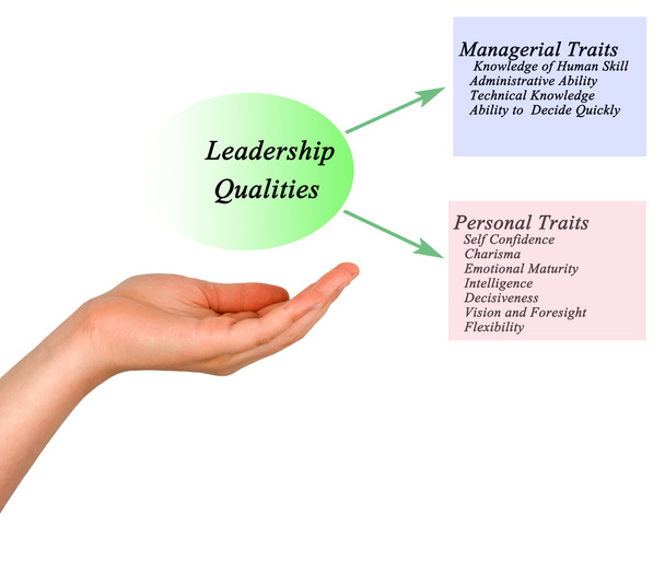 Diyagram liderlik nitelikleri - Fotoğraf, Görsel