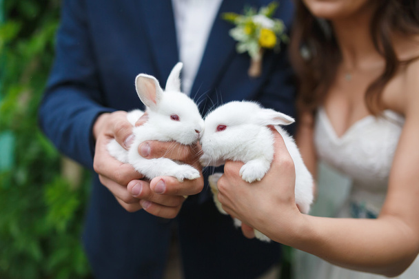 Весільна пара з двома маленькими кроликами
 - Фото, зображення