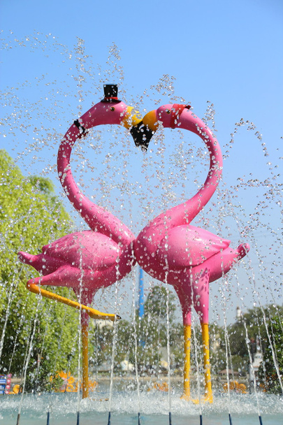 Birkaç güzel flamingolar olan çeşme - Fotoğraf, Görsel