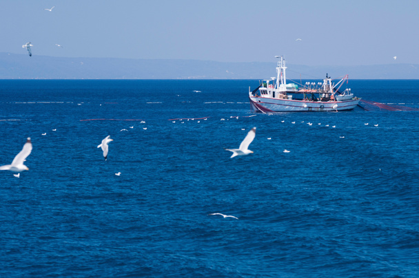 Moustiquaires pour bateaux de pêche méditerranéens
 - Photo, image