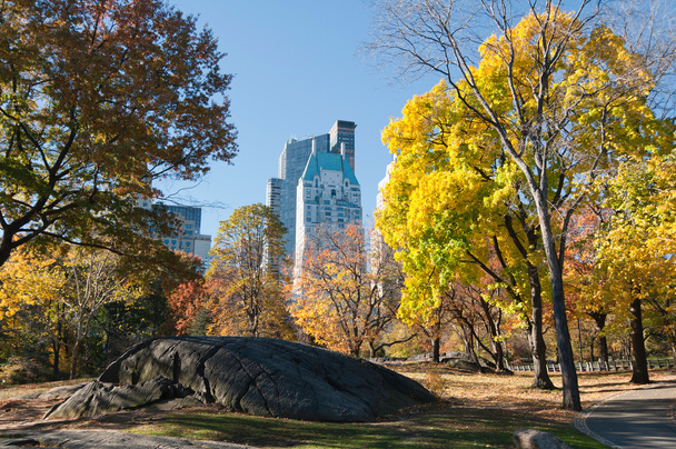 Colores otoñales en Central Park - Foto, Imagen