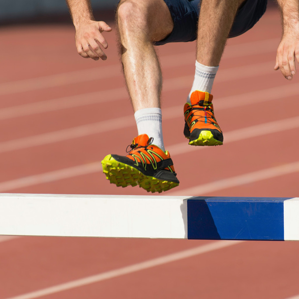 Steeplechase konkurenta nohy - Fotografie, Obrázek