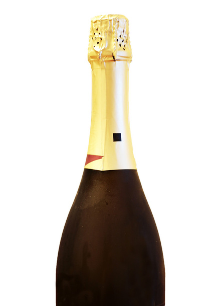 Bottle of shampagne isolated on the white background - Fotó, kép