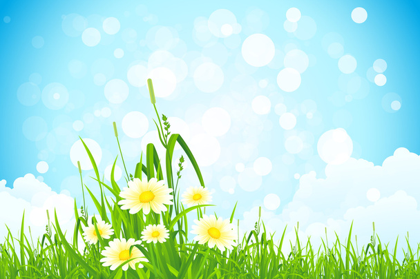 Flowers in the Grass - Vector, Image