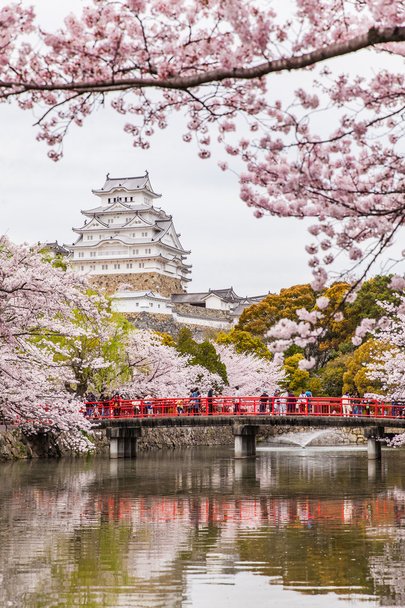 ΗΡΩΝ κάστρο στο sakura cherry blossom - Φωτογραφία, εικόνα