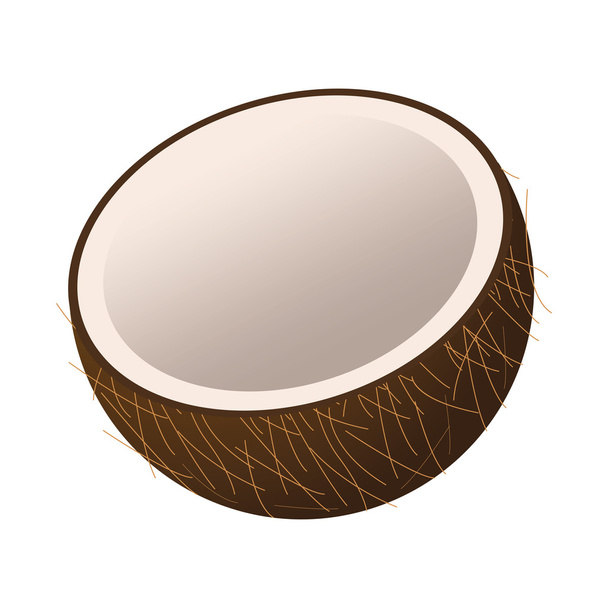 half coconut icon - Vector, Image