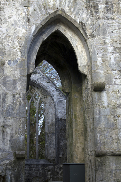 Ortaçağ İrlandalı kemerli windows - Fotoğraf, Görsel