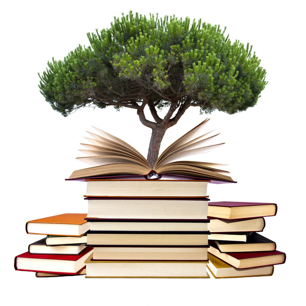 Books with tree - Photo, Image