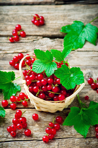 red currant in a basket on a wooden table. style rustic. selective focus - Valokuva, kuva