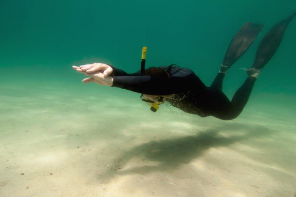 mergulhador nadando sobre o fundo do mar
 - Foto, Imagem