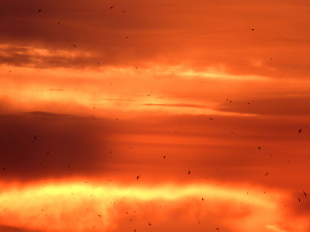 Ciel befone coucher de soleil
 - Photo, image