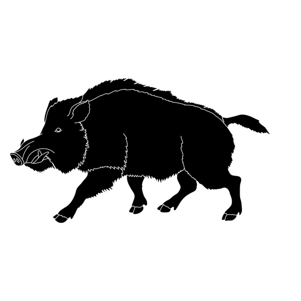 Wildschwein Silhouette schwarzer Vektor Illustration - Vektor, Bild