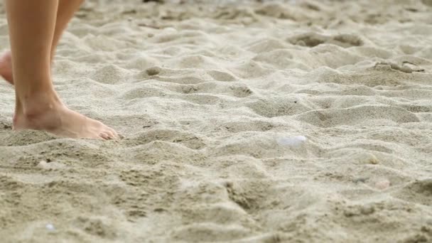 Stopy kobiet są na piasku. Piasek, morze, piękne nogi. Dziewczyna spaceru na plaży.  - Materiał filmowy, wideo