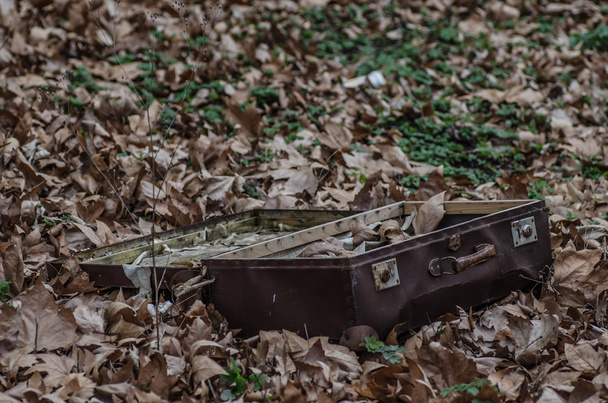 vieja maleta de viaje en la naturaleza
 - Foto, imagen