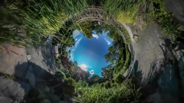 360Vr Відео Тато і дитина Сім'я в ботанічному парку Сім'я прогулянки серед рослин Дивлячись навколо ландшафтного декору Міст Камені Пишні зелені дерева
 - Кадри, відео