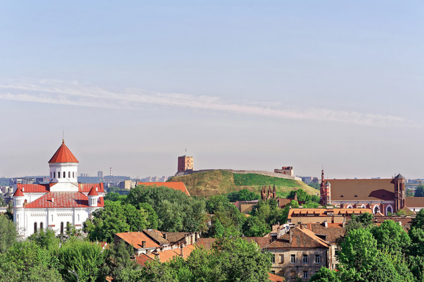 Верхний замок и собор Богородицы в Вильнюсе
 - Фото, изображение