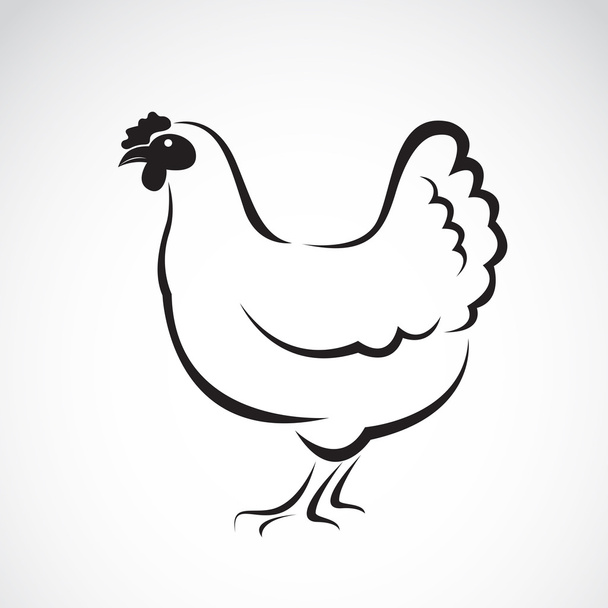 Vector afbeelding van een ontwerp van de kip op een witte achtergrond. Vector duivin voor - Vector, afbeelding