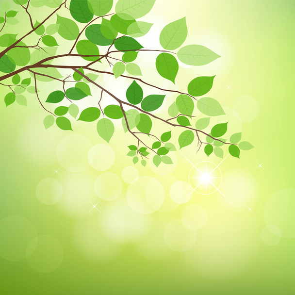 Green leaves on natural background. - Vector, Image