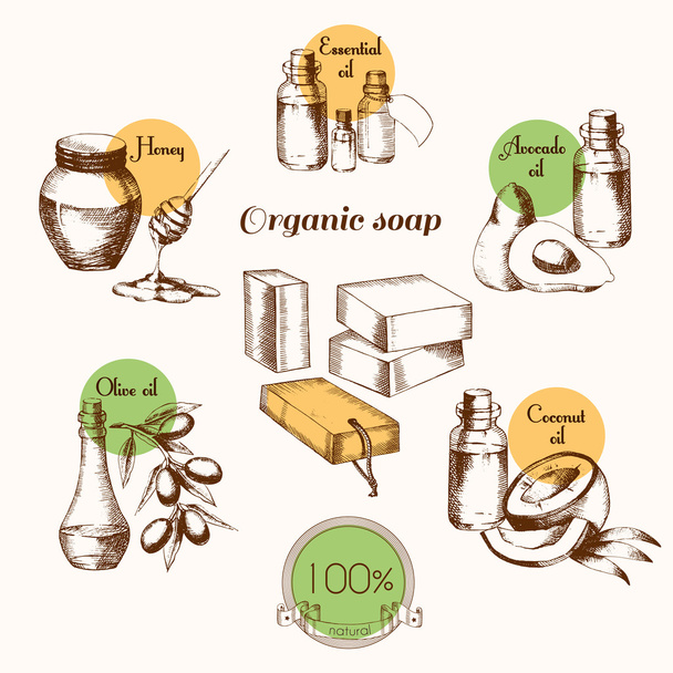 Ingredientes para crear jabón orgánico. Producto natural. Dibujo a mano alzada en estilo gráfico. Ilustración vectorial
 - Vector, imagen