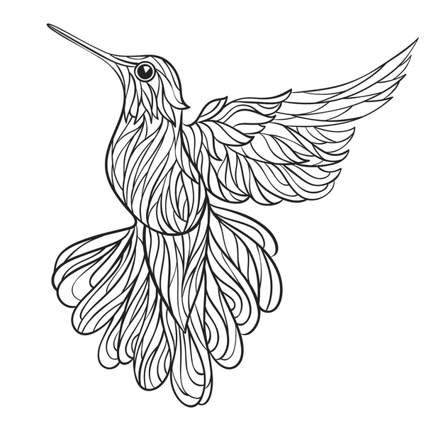 Vector monochrome hand drawn illustration of colibri. - Vektori, kuva