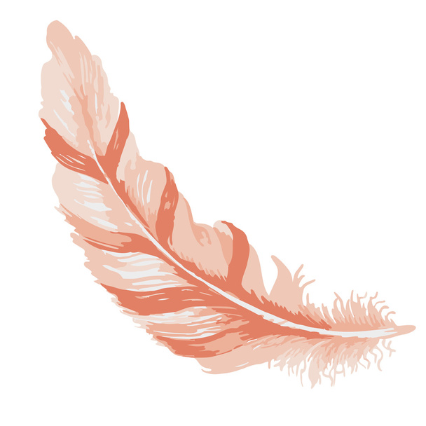 Vector watercolor feather. - Vector, Image