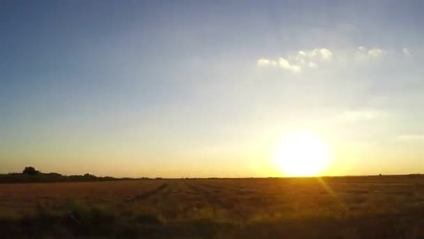 Αυτοκίνητο μέσα από την ύπαιθρο, στο ηλιοβασίλεμα, αγροτικό τοπίο με αγροτεμάχια, πλάγια όψη από το όχημα σε κίνηση, την χρονική - Πλάνα, βίντεο