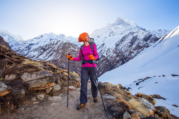 Hiker on the trek in Himalayas, Annapurna valley, Nepal - Fotografie, Obrázek