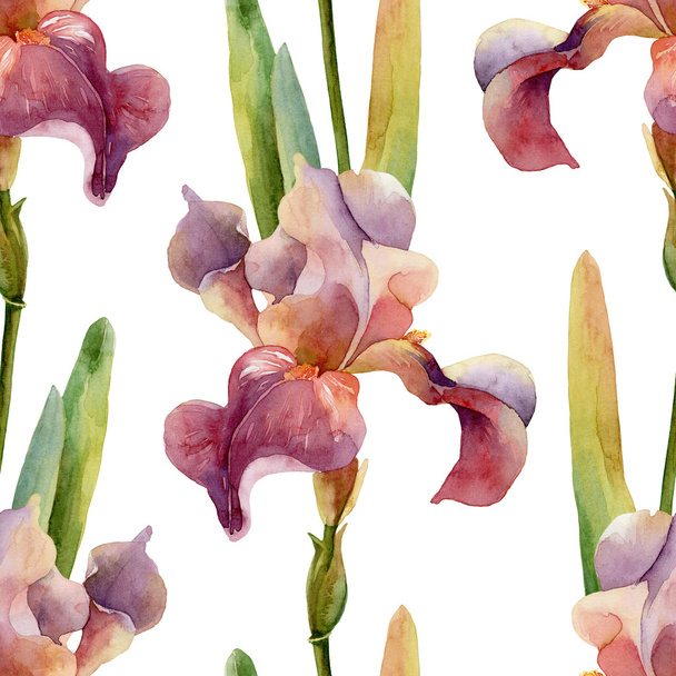 Seamless floral pattern with iris - Фото, зображення