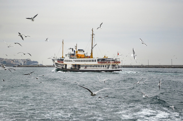 Istanbul Strait, ferry and seagulls. Gulls to feed the passion o - Foto, afbeelding