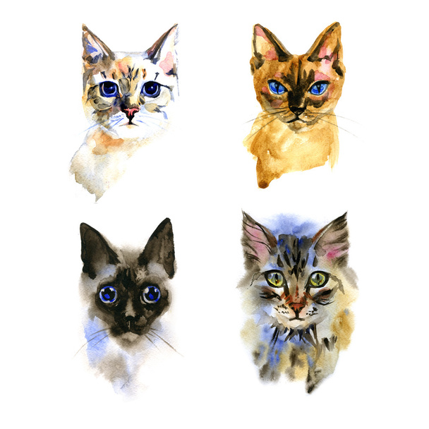 Illustration with a cute cats. Watercolor. Hand drawn. - Valokuva, kuva