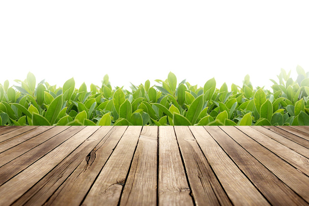 Деревянный стол с зелеными листьями на белом фоне
 - Фото, изображение