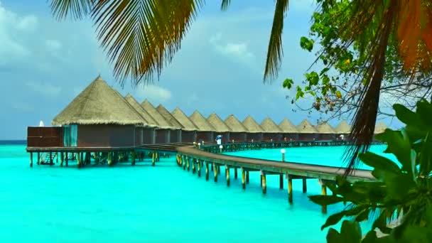 Hermosa isla de Maldivas con océano
 - Metraje, vídeo