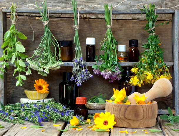 bunches of healing herbs - mint, yarrow, lavender, clover, hyssop, milfoil, mortar with flowers of calendula and bottles - Foto, afbeelding