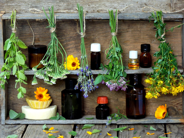 bunches of healing herbs - mint, yarrow, lavender, clover, hyssop, milfoil, mortar with flowers of calendula and bottles - Photo, Image