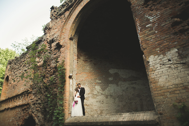 Beautiful romantic wedding couple of newlyweds hugging near old castle - Фото, изображение
